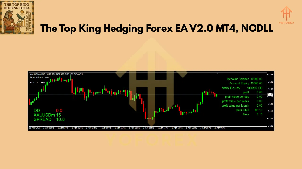 The Top king Hedging Forex EA V2.0 3 Top king Hedging Forex EA V2.0 MT4