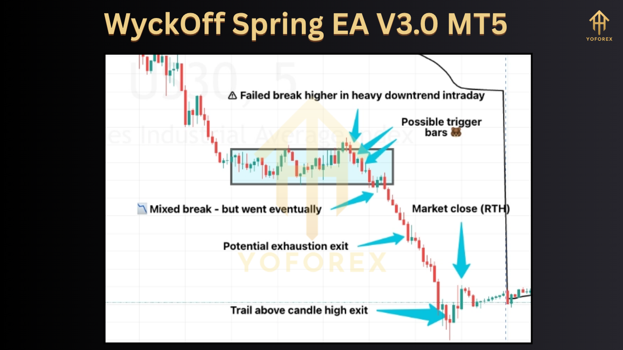 WyckOff Spring EA V3.0 MT5