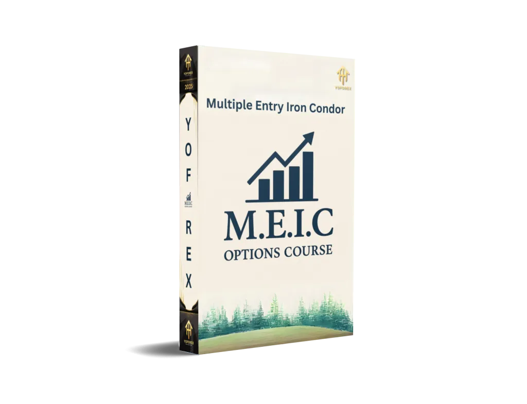 M.E.I.C Options Course 1 M.E.I.C Options Course