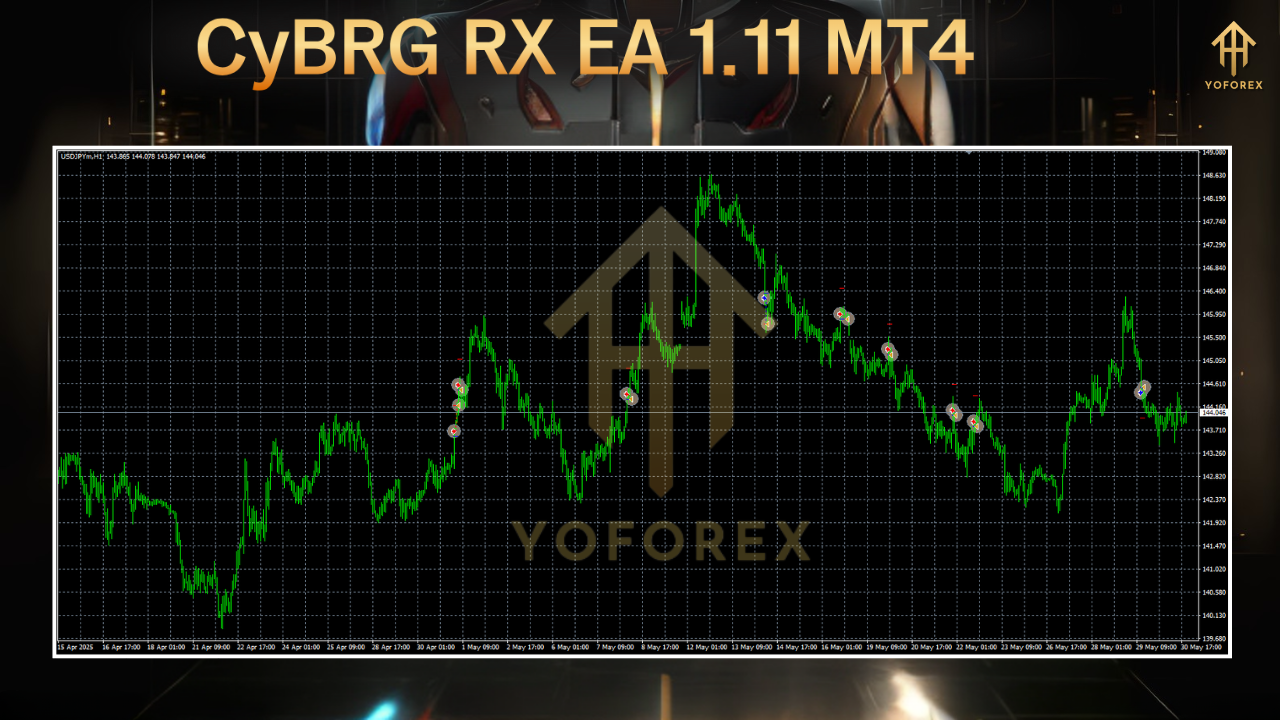 CyBRG RX EA 1.11 MT4