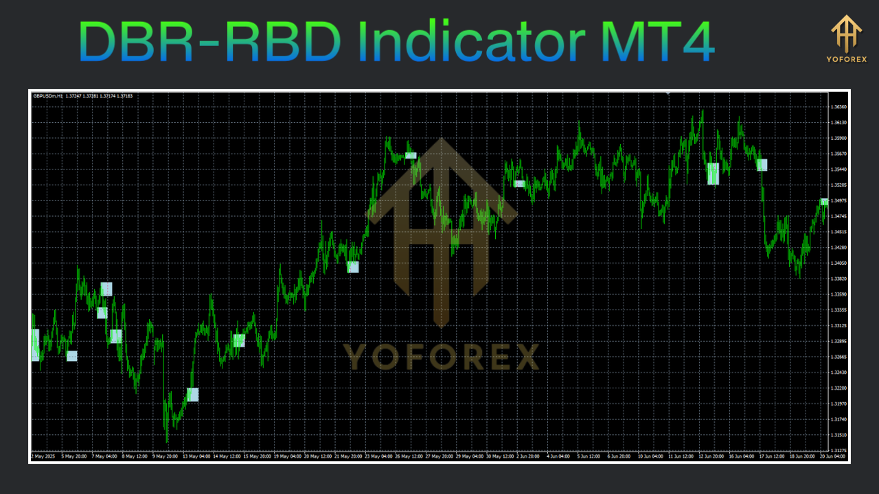 DBR-RBD Indicator MT4