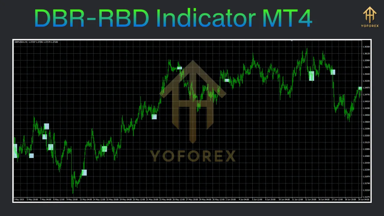 DBR-RBD Indicator MT4 2 DBR-RBD Indicator MT4
