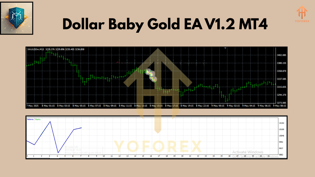 Dollar Baby Gold EA V1.2 MT4