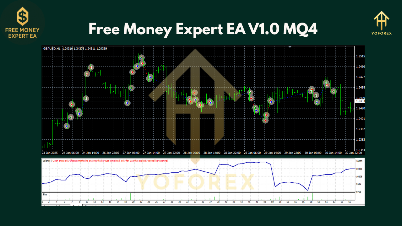 Free Money Expert EA V1.0 MQ4