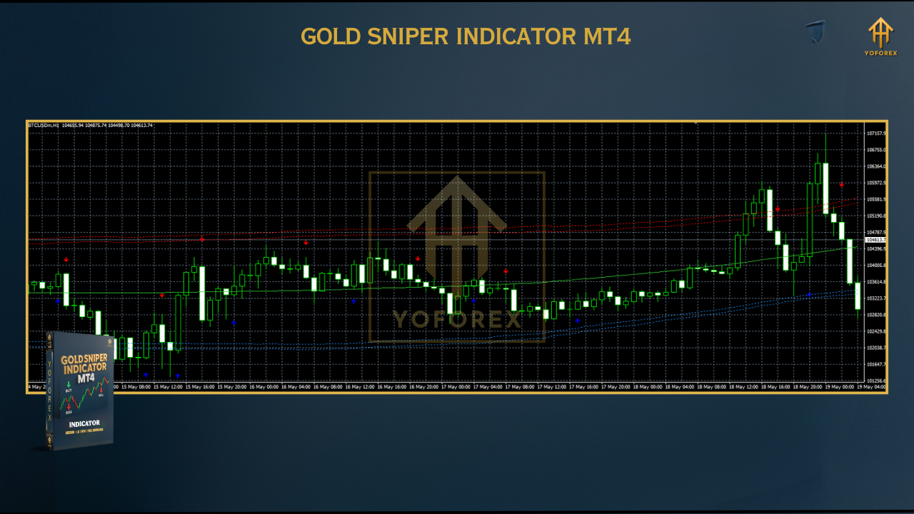 Gold Trend Rider EA 2 11
