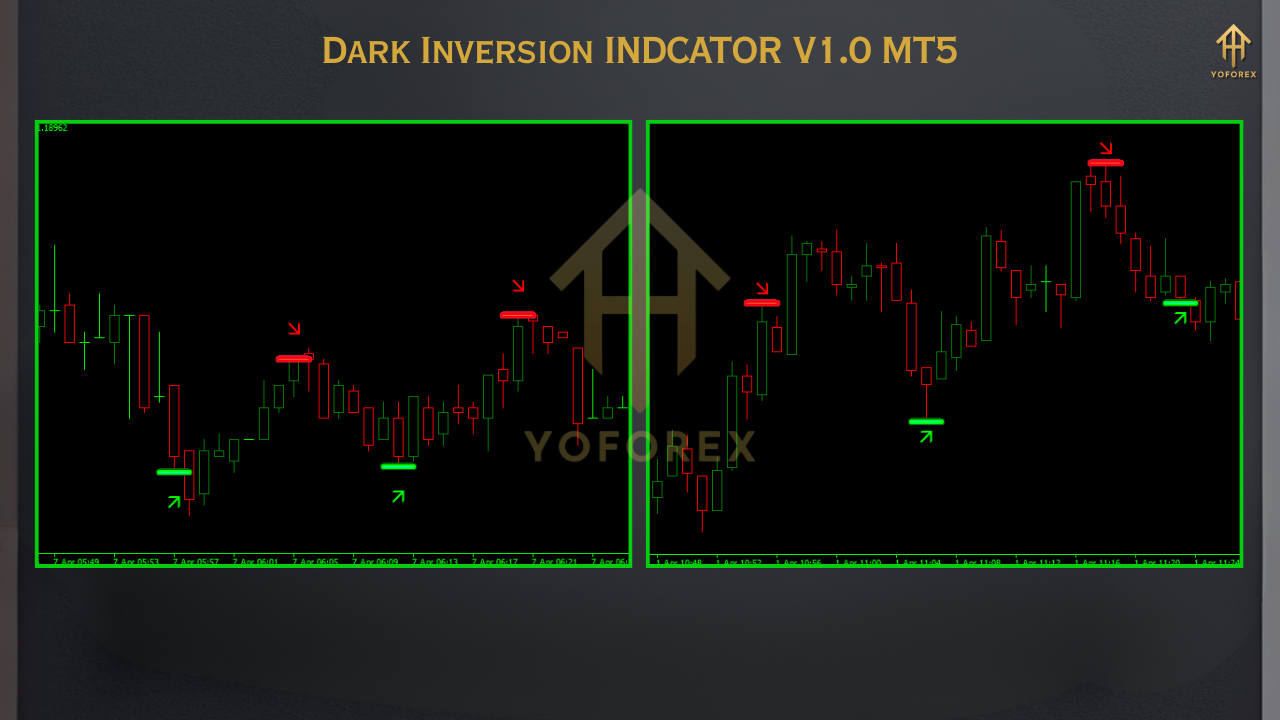 Gold Trend Rider EA 4