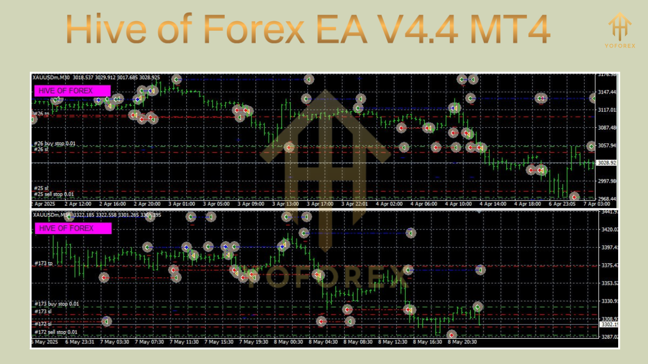 Hive of Forex EA V4.4 MT4