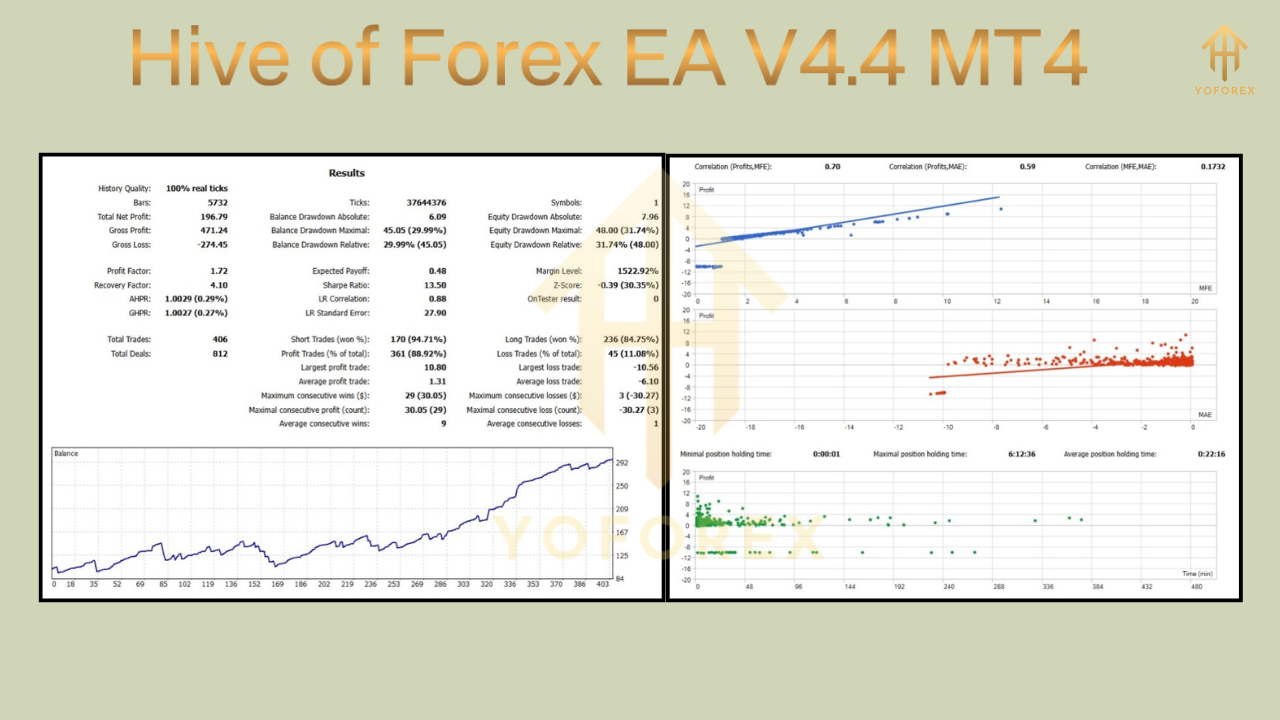 Hive of Forex EA V4.4 MT4