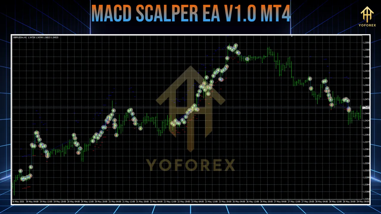 MACD Scalper EA V1.0 MT4 2 MACD Scalper EA V1.0 MT4