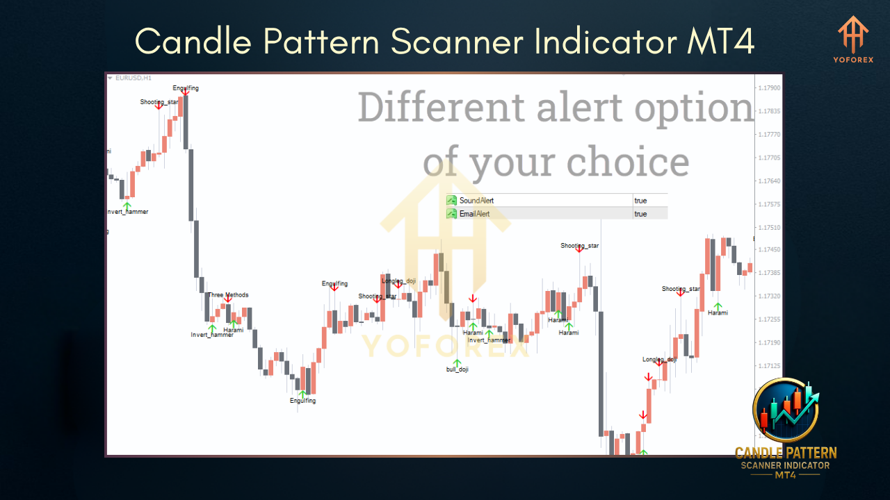 Magicxx Indicator V1.4 MT5 3