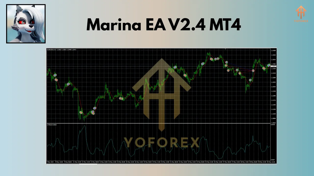 Marina EA V2.4 MT4