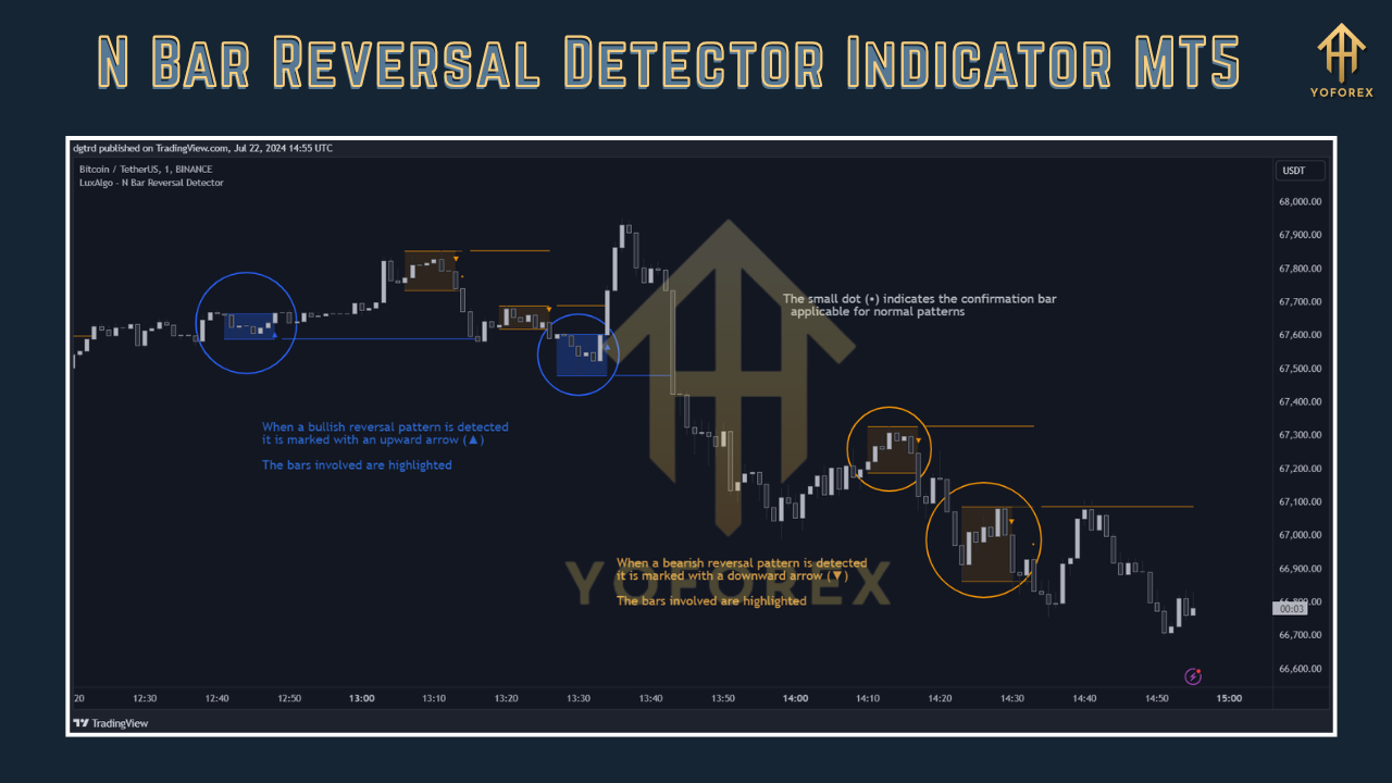 N Bar Reversal Detector Indicator MT5