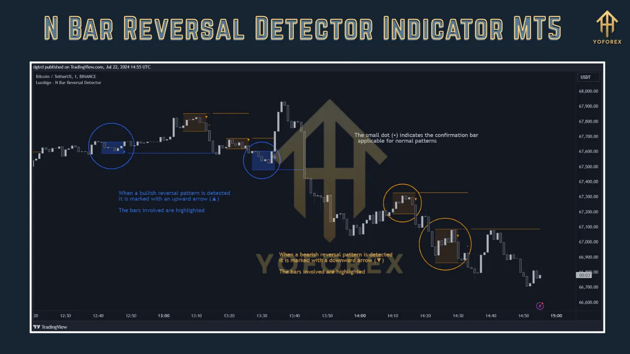 N Bar Reversal Detector Indicator MT5 2 N Bar Reversal Detector Indicator MT5