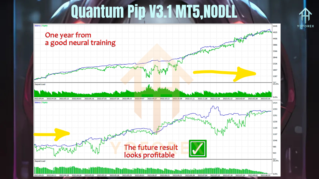 Quantum Pip EA V3.1 MT5