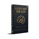 Gold MM Brain EA V2.0 MT4