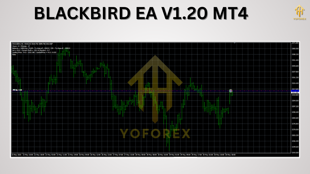 BLACKBIRD EA V1.20 MT4