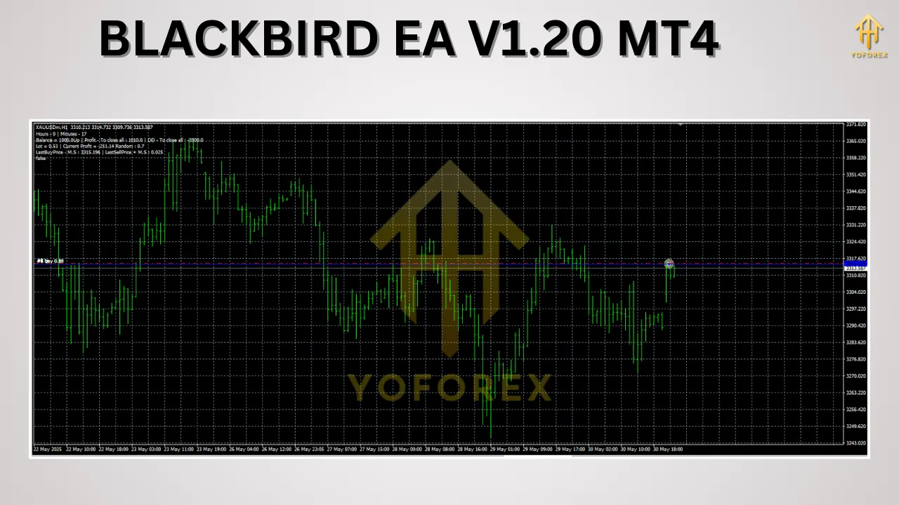 BLACKBIRD EA V1.20 MT4 2 BLACKBIRD EA V1.20 MT4