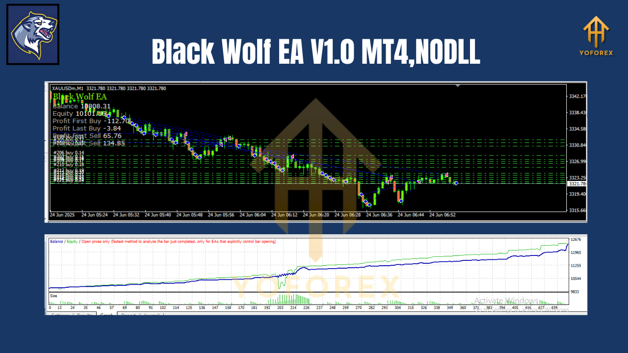 Black Wolf EA V1.0 MT4