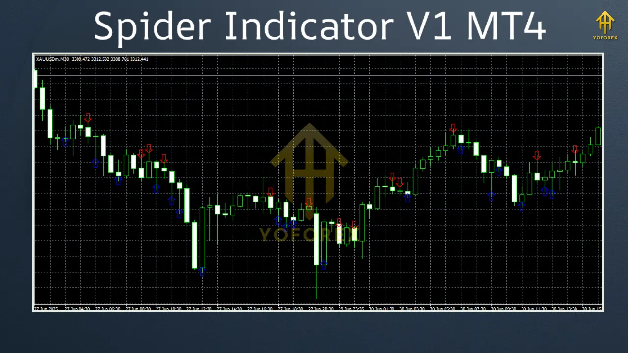 Spider Indicator V1 MT4 3 DS Gold Robot EA V7.0 MT4 7