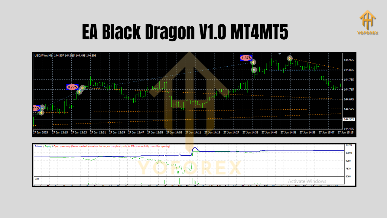 EA Black Dragon V1.0 MT4MT5