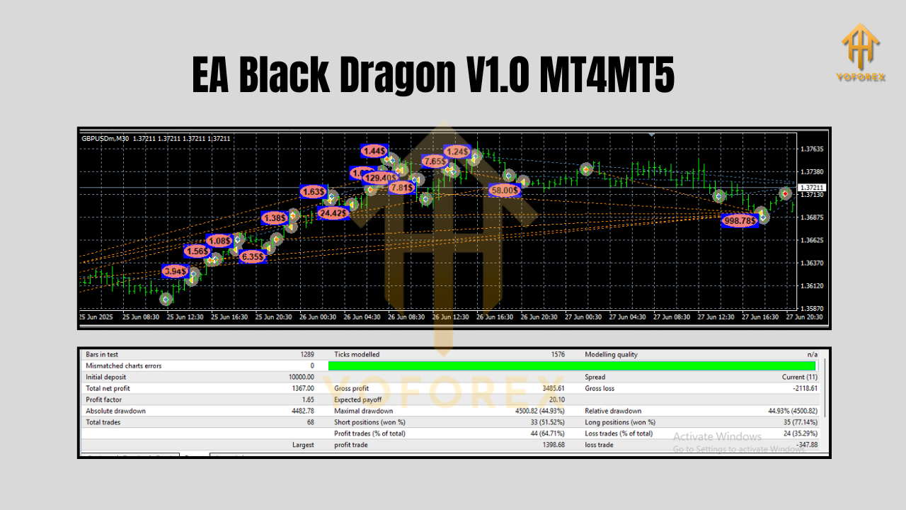 EA Black Dragon V1.0 MT4MT5