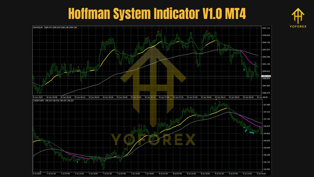 Hoffman System Indicator V1.0 MT4 2 Hoffman System Indicator V1.0 MT4