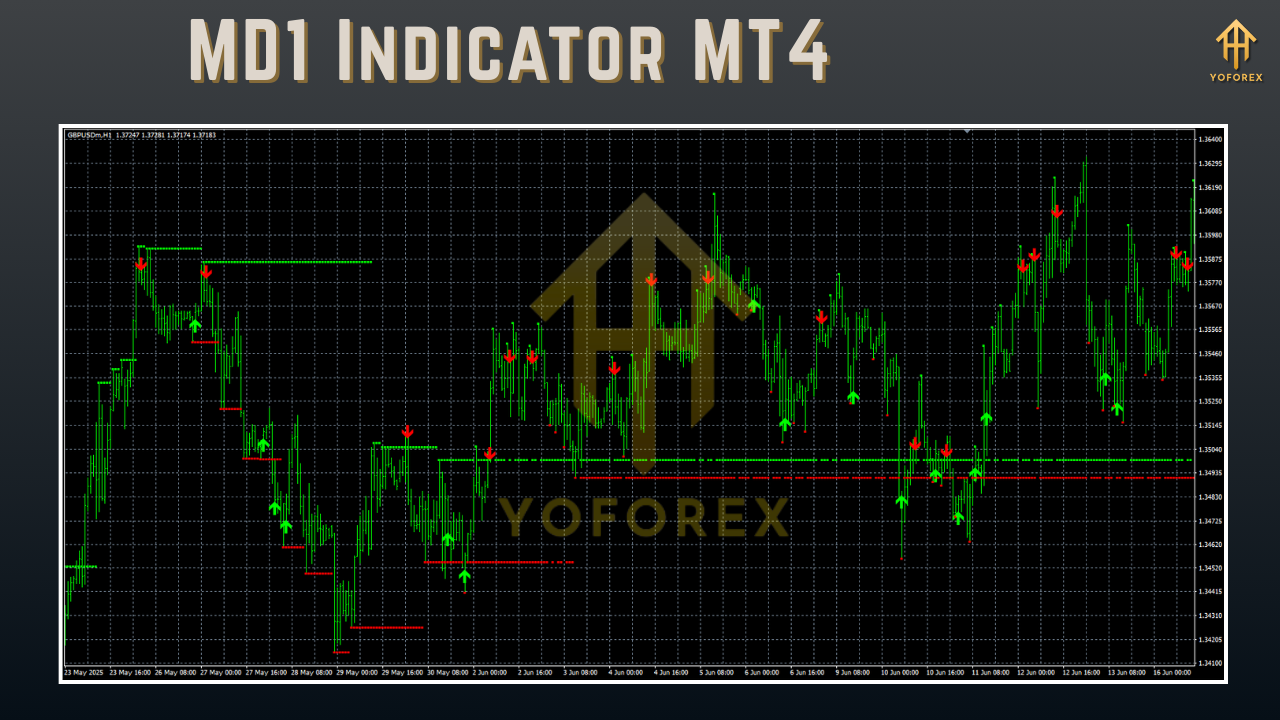 MD1 Indicator MT4