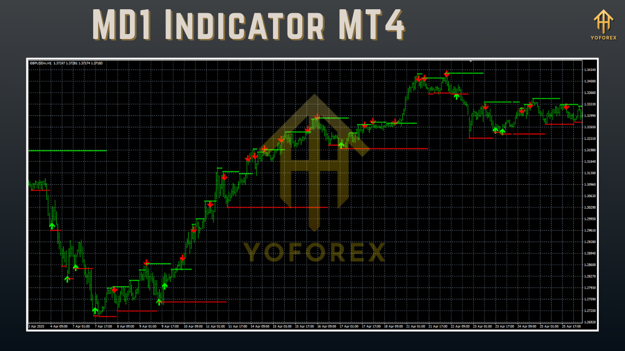 MD1 Indicator MT4