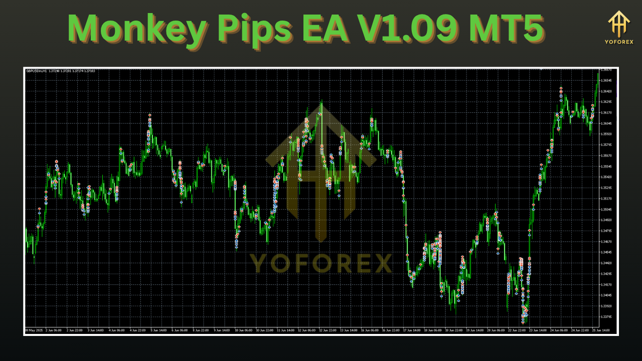 Monkey Pips EA V1.09 MT5