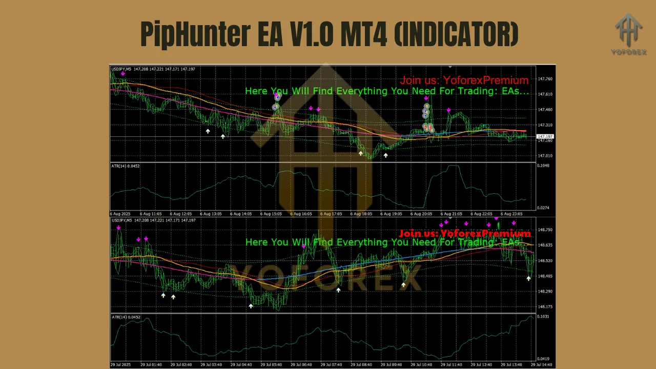 PipHunter EA V1.0 MT4 4 PipHunter EA V1.0 MT4