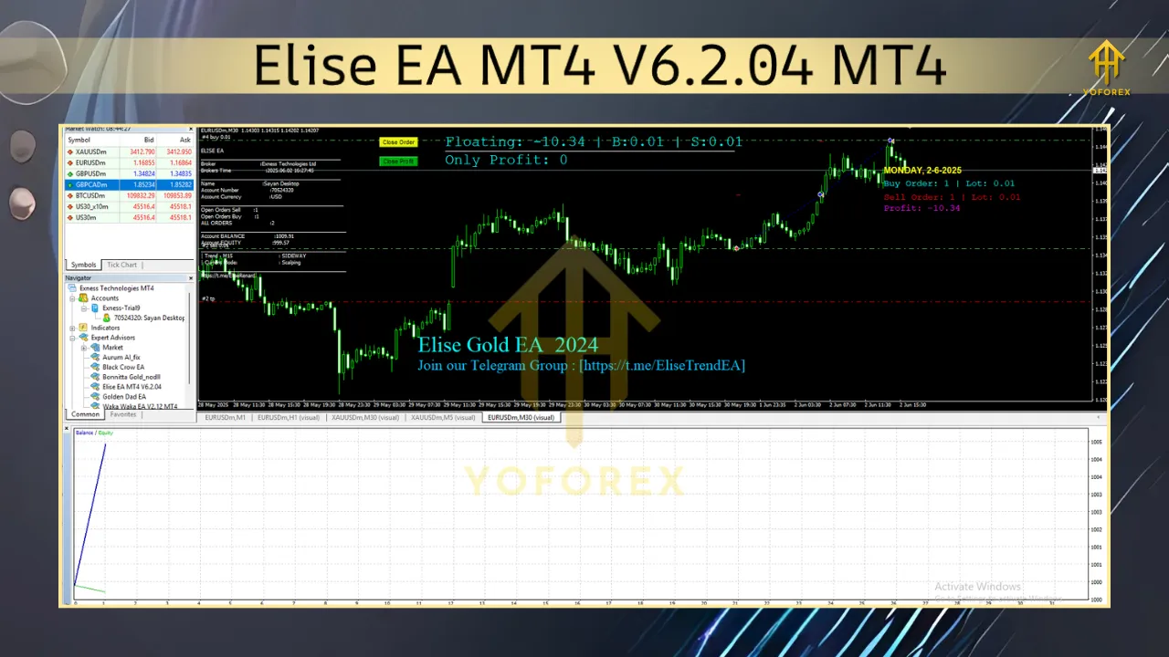 Elise EA MT4 V6.2.04 2 TEAM SEO 2 6