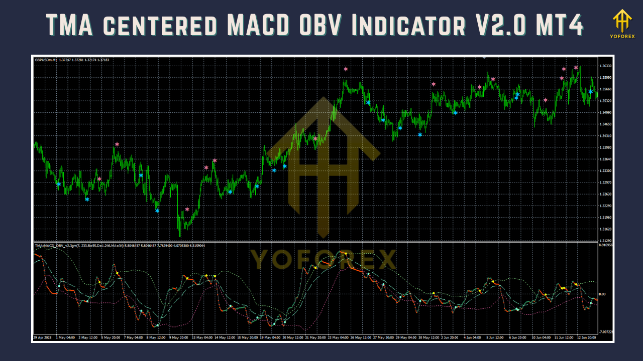 TMA centered MACD OBV Indicator V2.0 MT4