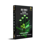 Big Forex Players EA V3.1 MT4