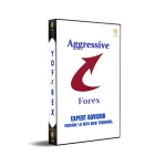 Aggressive Forex EA V1.0 MT4