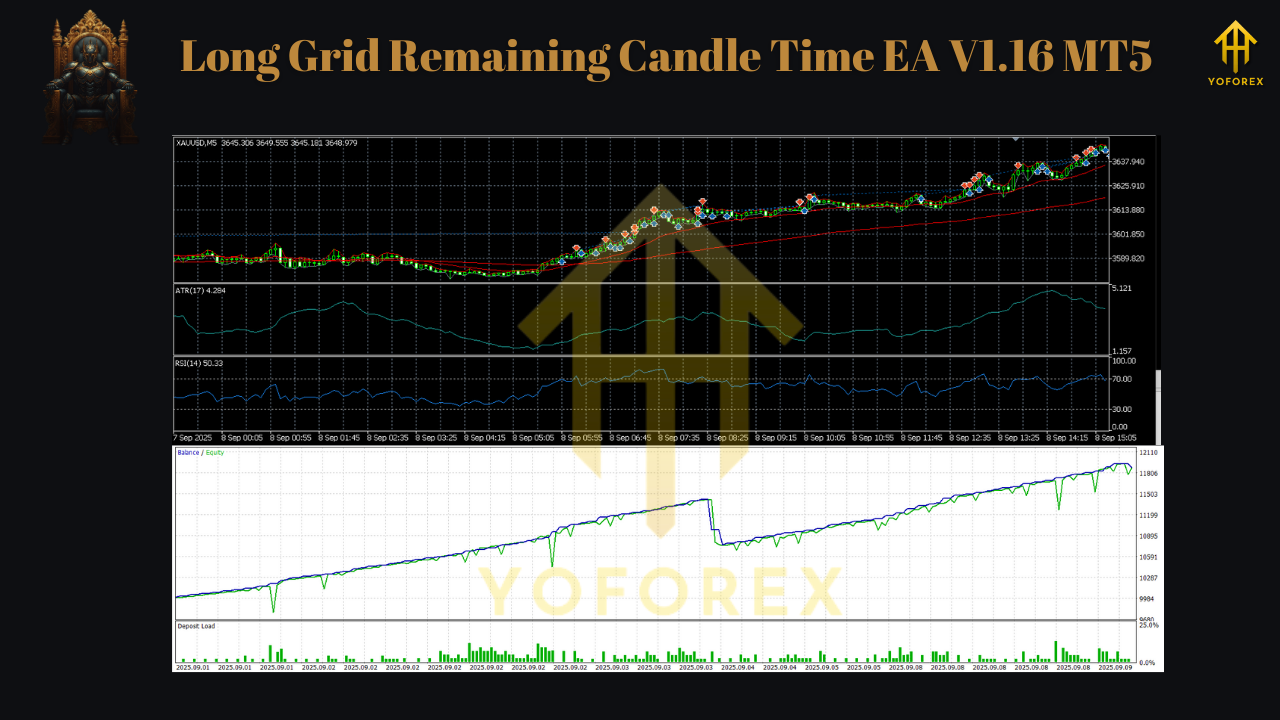 Long Grid Remaining Candle Time EA V1.16 MT5