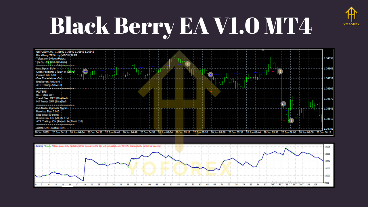 Black Berry EA V1.0 MT4