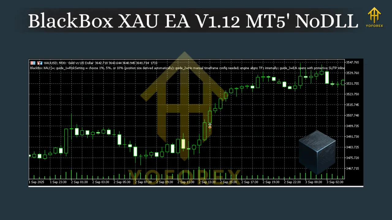 BlackBox XAU EA V1.12 MT5 3 BlackBox XAU EA V1.12 MT5