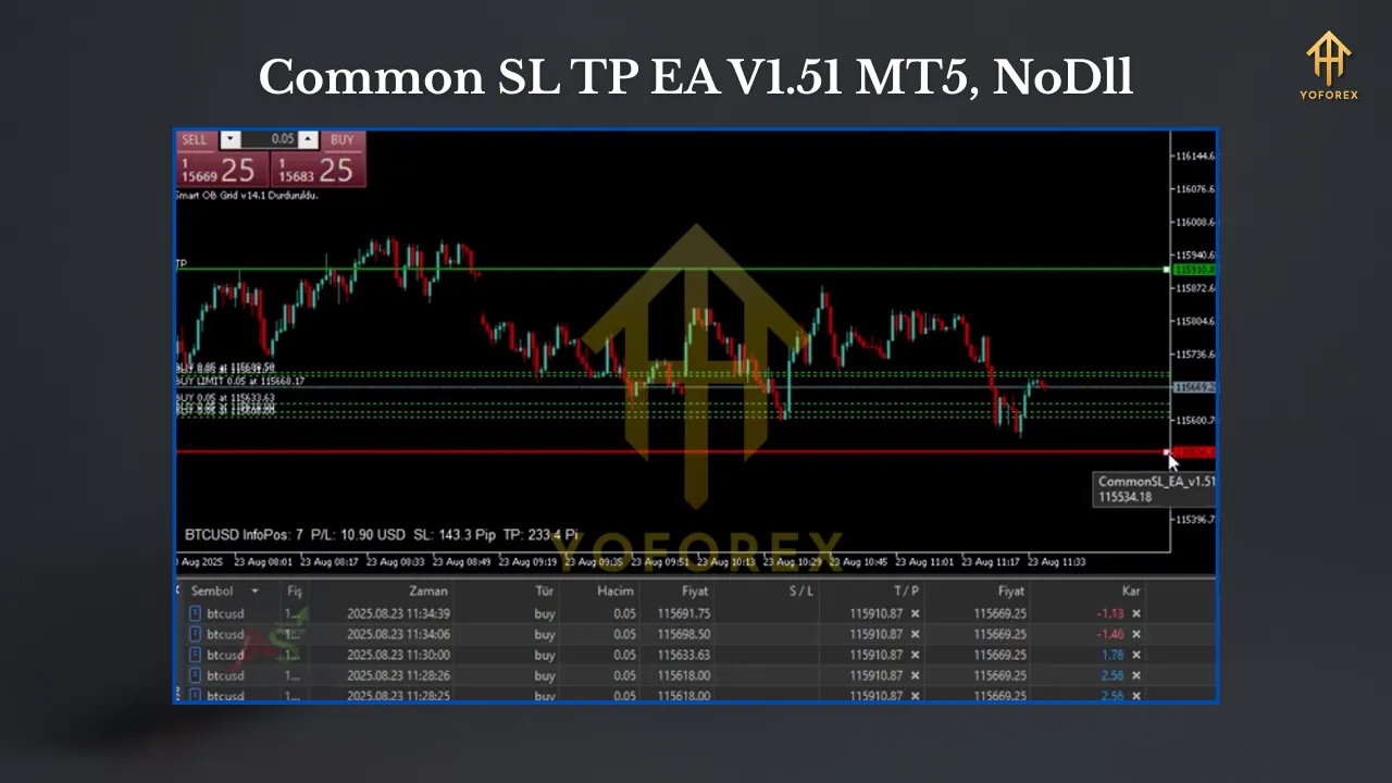 Common SL TP EA V1.51 MT5 2 TEAM SEO 1 1