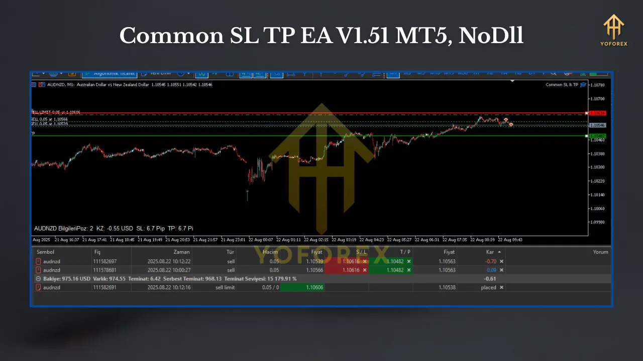 Common SL TP EA V1.51 MT5 3 TEAM SEO 4