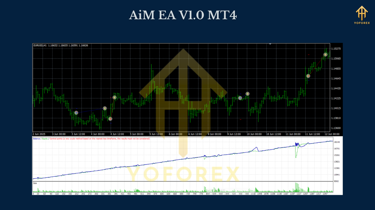 AiM EA V1.0 MT4