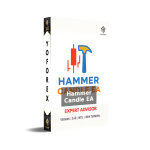 Hammer Candle EA V2.40 MT5 NO DLL