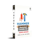 Hammer Candle EA V2.40 MT5 5 Hammer Candle EA V2.40 MT5 NO DLL