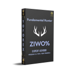 Fundamental hunter EA V1.0 MT4