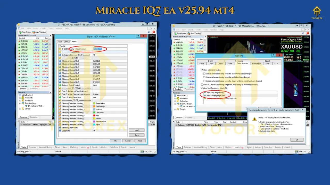 Miracle IQ7 EA V25.94 MT4 3 Chinese EA 1 2