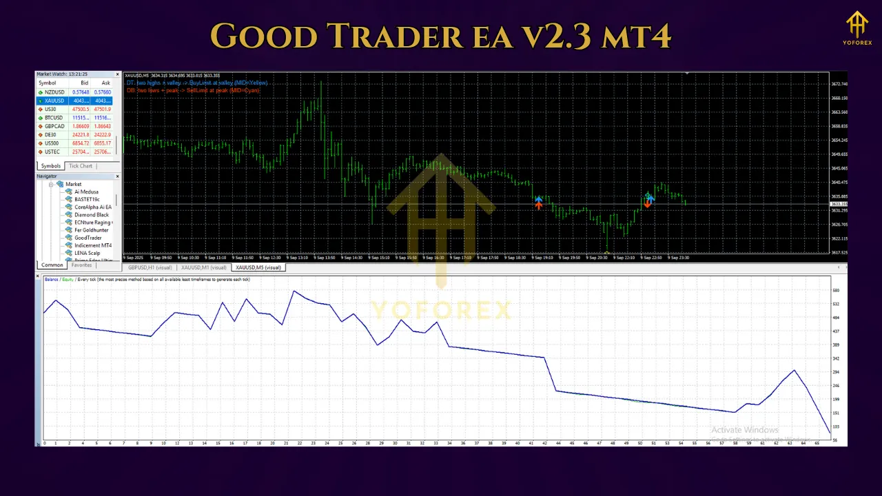 GoodTrader EA V2.3 MT4 2 Chinese EA 14