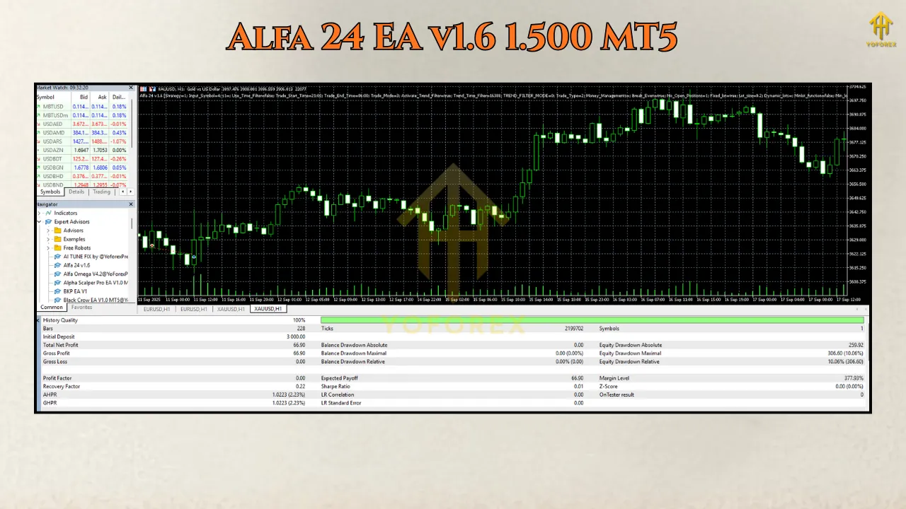 Alfa 24 EA v1.6 1.500 MT5 3 Chinese EA 16