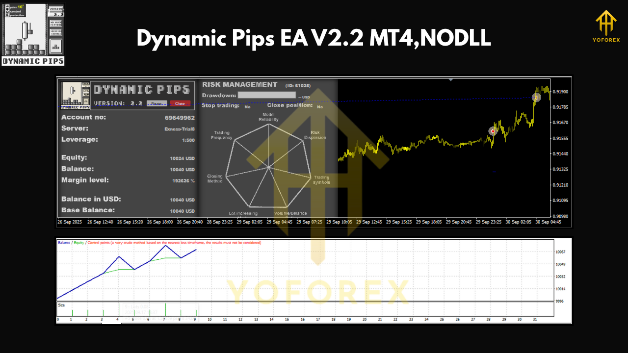Dynamic Pips EA V2.2 MT4