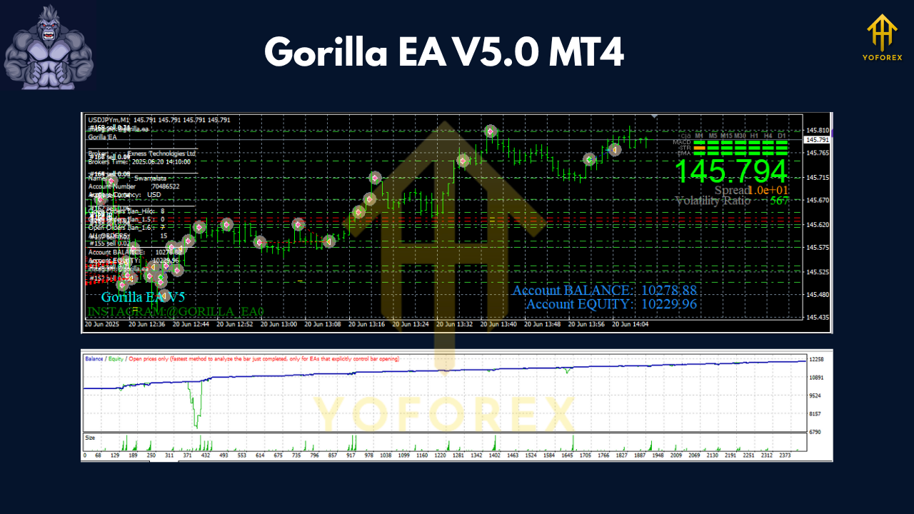 Gorilla EA V5.0 MT4 2 Gorilla EA V5.0 MT4