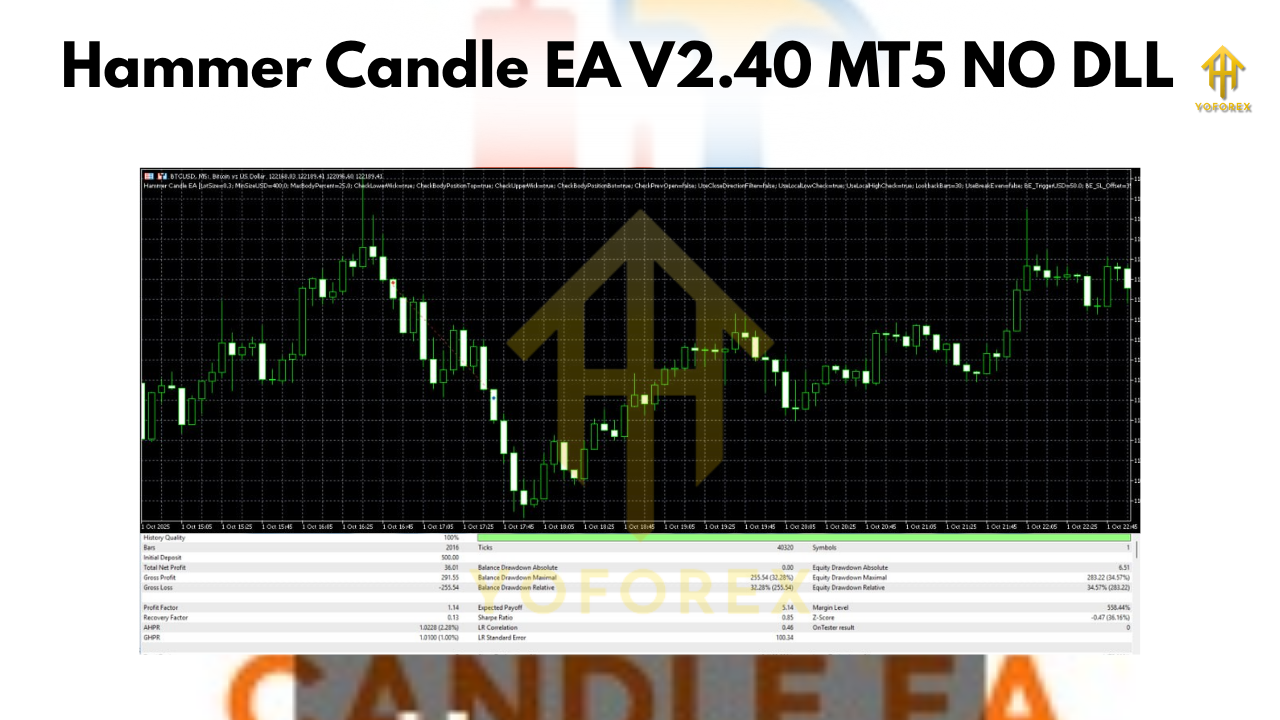 Hammer-Candle-EA-V2.40-MT5-NO-DLL