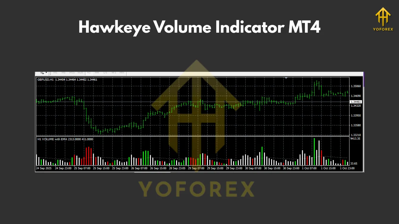 Hawkeye Volume Indicator MT4 3 Hawkeye Volume Indicator MT4